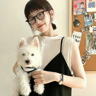 七彩狗